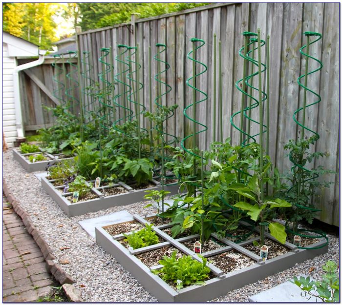 Square Foot Gardening Spacing Okra - Garden : Home Design Ideas #qLYjjgPY3P