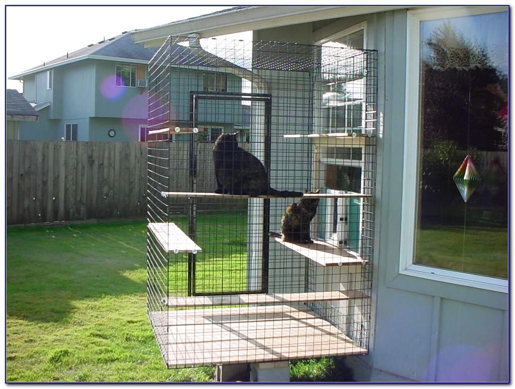 Outdoor Patio Cat Enclosures Patios Home Design Ideas Qekp3x2y0a