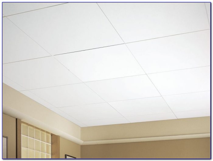 Armstrong Acoustical Ceiling Tile Msds Tiles Home Design