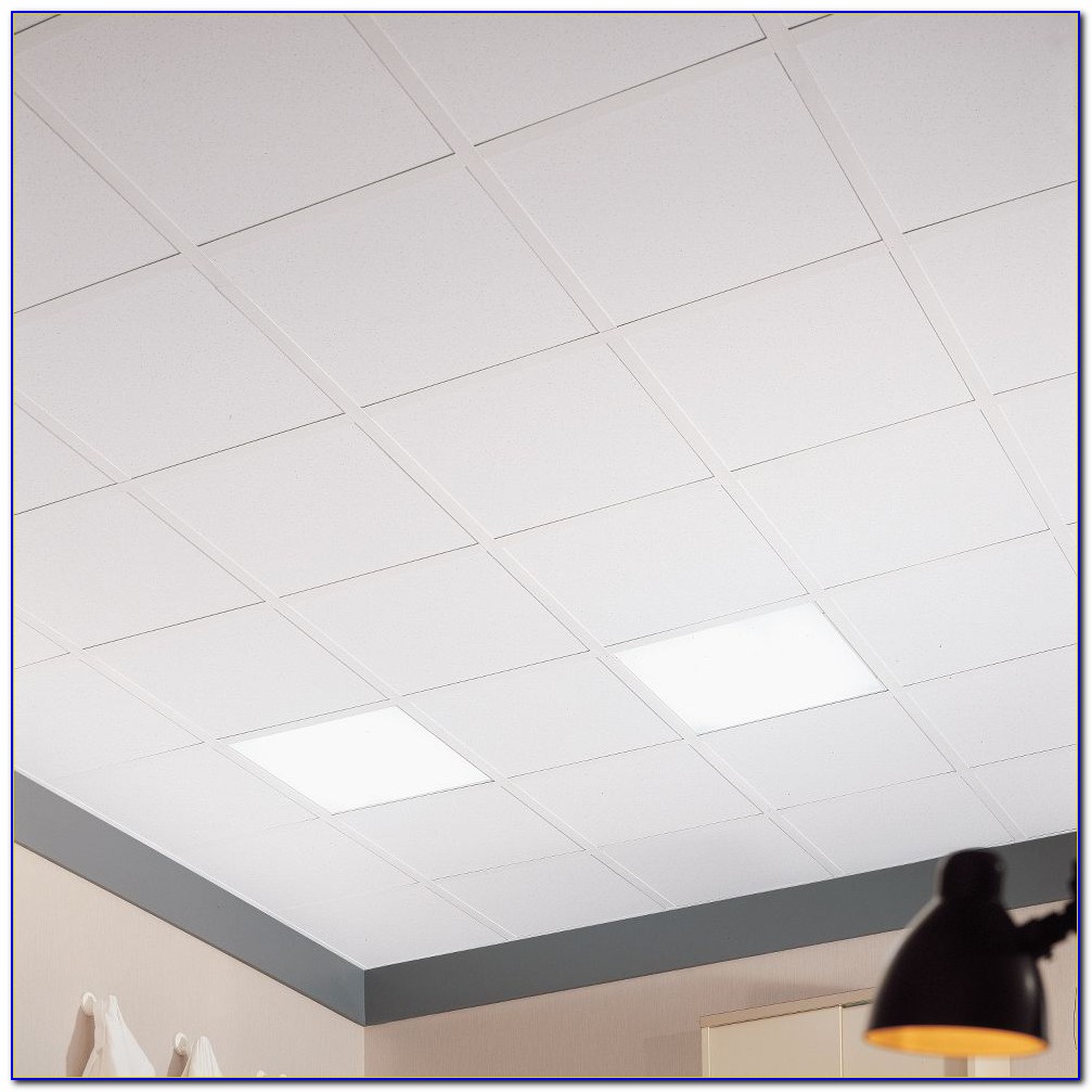 Usg Clean Room Ceiling Tiles Tiles Home Design Ideas