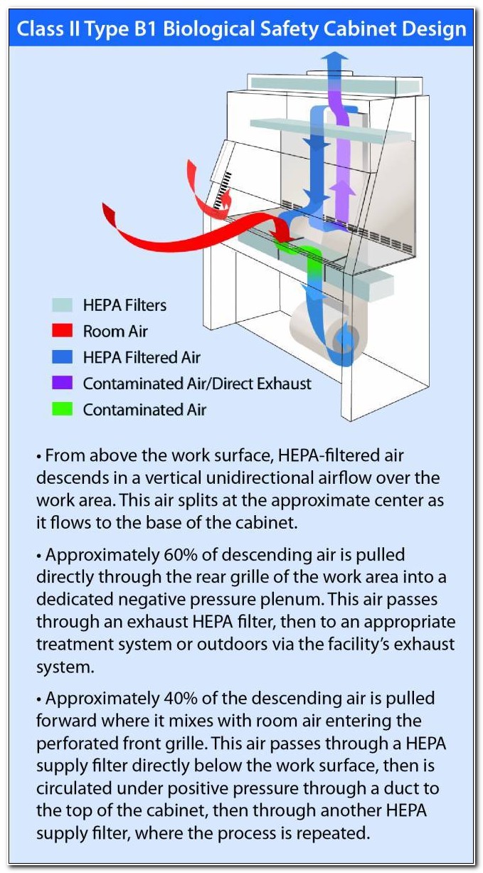Biosafety Cabinet Level 2a Cabinet Home Design Ideas K81009n1x7